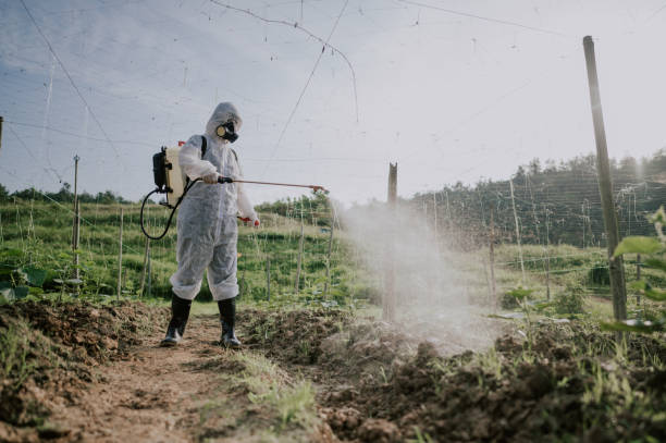 Best Affordable Pest Control Services  in New Mford, IL