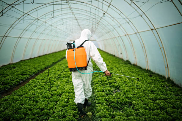 Best Best Pest Control Companies  in New Mford, IL