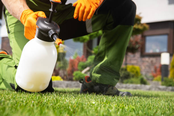 Best Exterminator Services  in New Mford, IL