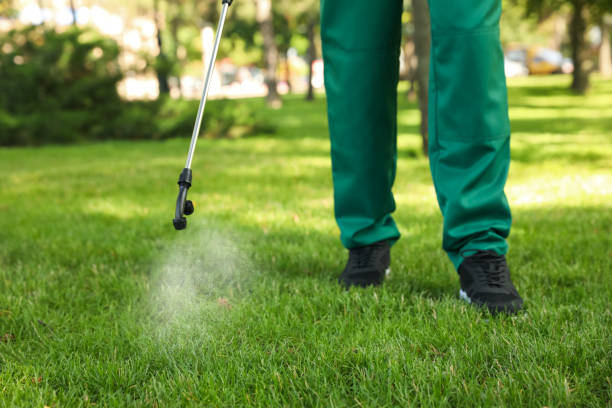 Best Rat Extermination Near Me  in New Mford, IL