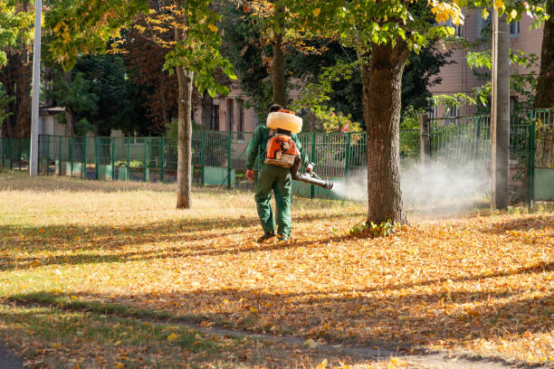 Insect Control in New Milford, IL