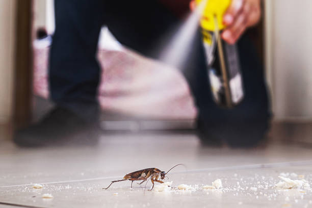Best Rodent Control Near Me  in New Mford, IL