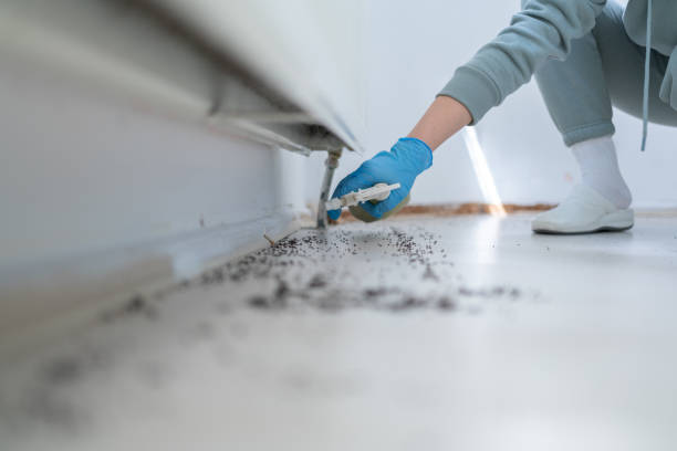 Best Pest Control Cost  in New Mford, IL